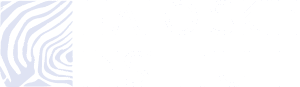Halo Skin Institute Logo